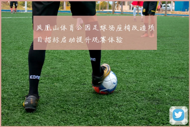 凤凰山体育公园足球场座椅改造项目招标启动提升观赛体验