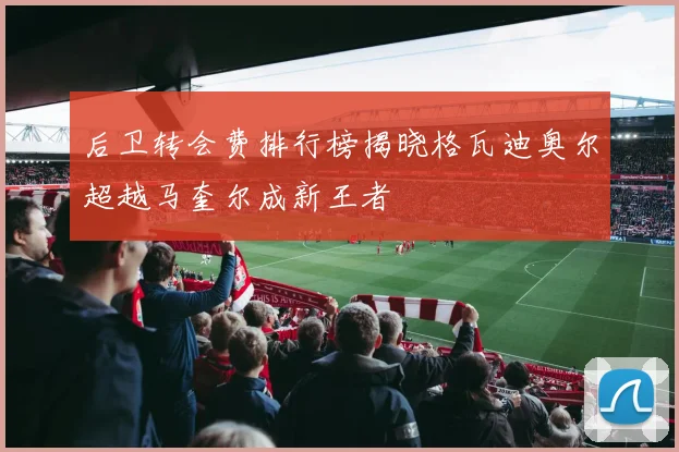 后卫转会费排行榜揭晓格瓦迪奥尔超越马奎尔成新王者