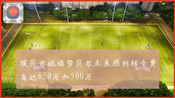 埃贝尔祝福努贝尔未来顺利转会费高达650万加500万
